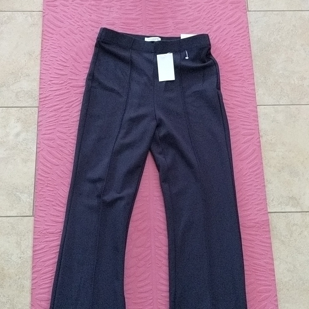 Max studio pants size xs new with tag elastic waist